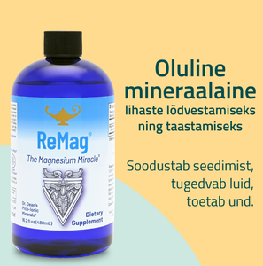 ReMag Magnesium Solution 480ml